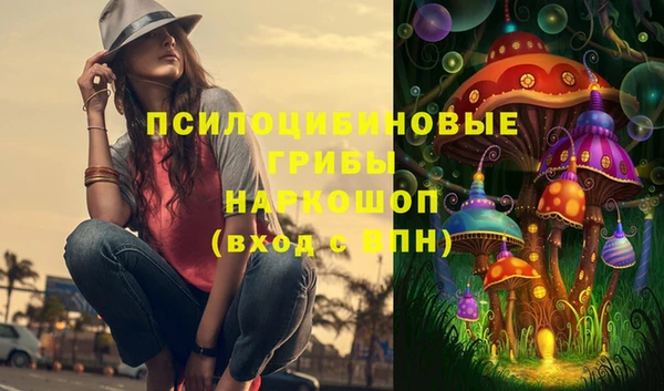 МДПВ Зеленодольск