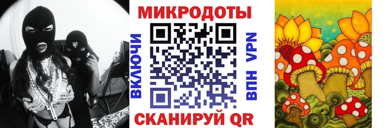 Псилоцибиновые грибы мухоморы Няндома