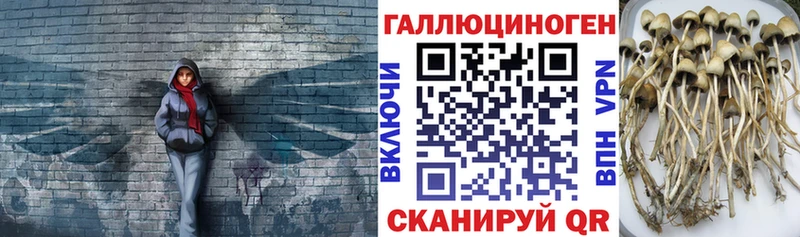 Псилоцибиновые грибы MAGIC MUSHROOMS  сайты даркнета как зайти  Няндома  дарнет шоп 